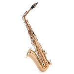Orlando OSA 450 - Alto sax - imagine 2
