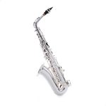 Orlando OSA 450S - Alto Sax - imagine 2