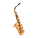 Orlando OSA 452N - Alto Sax - imagine 2