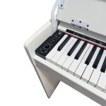 Orlando Instruments ODP 202WH - imagine 4