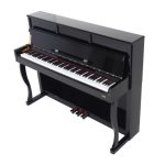 Orlando Instruments ODP 119BK - imagine 2