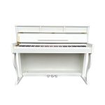 Orlando Instruments ODP 119WH