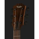 Taylor American Dream AD17e SB - imagine 8