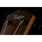 Taylor American Dream AD17e SB - imagine 10