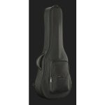 Taylor American Dream AD17e SB - imagine 11
