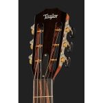 Taylor 812ce 12-Fret - imagine 5