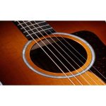 Taylor 214ce Plus Special Edition - imagine 4