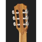 Taylor 214ce-N Spruce/Walnut - imagine 3