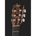 Taylor 214ce-N Spruce/Walnut - imagine 4