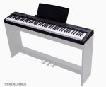 Orlando Instruments ODP 203 BK - pian digital - imagine 4