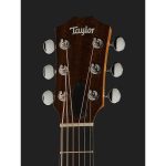 Taylor GS Mini Sapele Torrefied Top - imagine 5