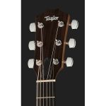 Taylor Academy Series 12e Walnut/Spr - imagine 5