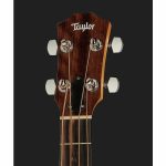 Taylor GS Mini-e Koa Bass - imagine 5