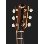 Taylor 214ce-K SB Plus - imagine 5