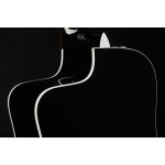 Taylor 250ce-BLK Plus - imagine 5