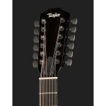 Taylor 250ce-BLK Plus - imagine 6