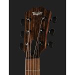 Taylor American Dream AD11e SB - imagine 5