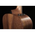 Taylor American Dream AD11e SB - imagine 10