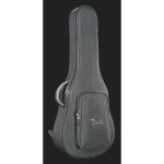 Taylor American Dream AD17e Blacktop - imagine 10