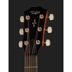 Taylor 417e-R - imagine 5