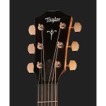 Taylor 724Ce Lefthand - imagine 3