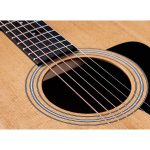 Taylor 117e Grand Pacific - imagine 3