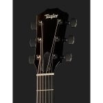 Taylor 214ce-BLK Plus - imagine 3