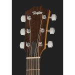 Taylor Academy Series 22e LH - imagine 3