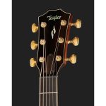 Taylor Builder's Edition 812ce LTD 50 - imagine 3