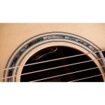 Taylor Legacy Edition 810e - imagine 4