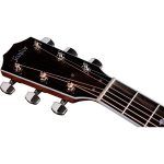 Taylor Legacy Edition 810e - imagine 5