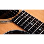 Taylor Legacy Edition 714ce - imagine 5