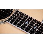 Taylor Legacy Edition 855e - imagine 4