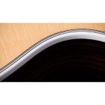 Taylor Legacy Edition 855e - imagine 5