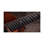 Taylor 724ce Gloss - imagine 3