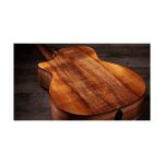 Taylor 724ce Gloss - imagine 4