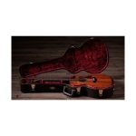 Taylor 724ce Gloss - imagine 5