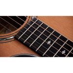 Taylor Legacy Edition 514ce - imagine 5