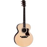 Taylor Legacy Edition 815e - imagine 2