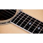 Taylor Legacy Edition 815e - imagine 5
