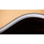 Taylor Legacy Edition 815e - imagine 6