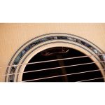 Taylor Legacy Edition 815e - imagine 7