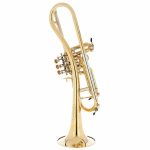 Schagerl Ganschhorn heavy UL - imagine 2