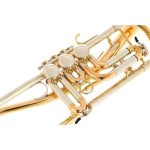 Schagerl Ganschhorn heavy UL - imagine 5