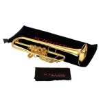 Schagerl Hans Gansch L 130 Bb- Trumpet - imagine 9