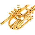 Schagerl Raweni Bb-Trumpet - imagine 6