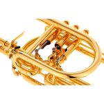 Schagerl Raweni Bb-Trumpet - imagine 8
