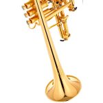 Schagerl Raweni Bb-Trumpet - imagine 9
