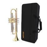 Denver L119 trompeta Bb - imagine 3