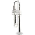 Schagerl "1961" Bb-Trumpet B2G S - imagine 2